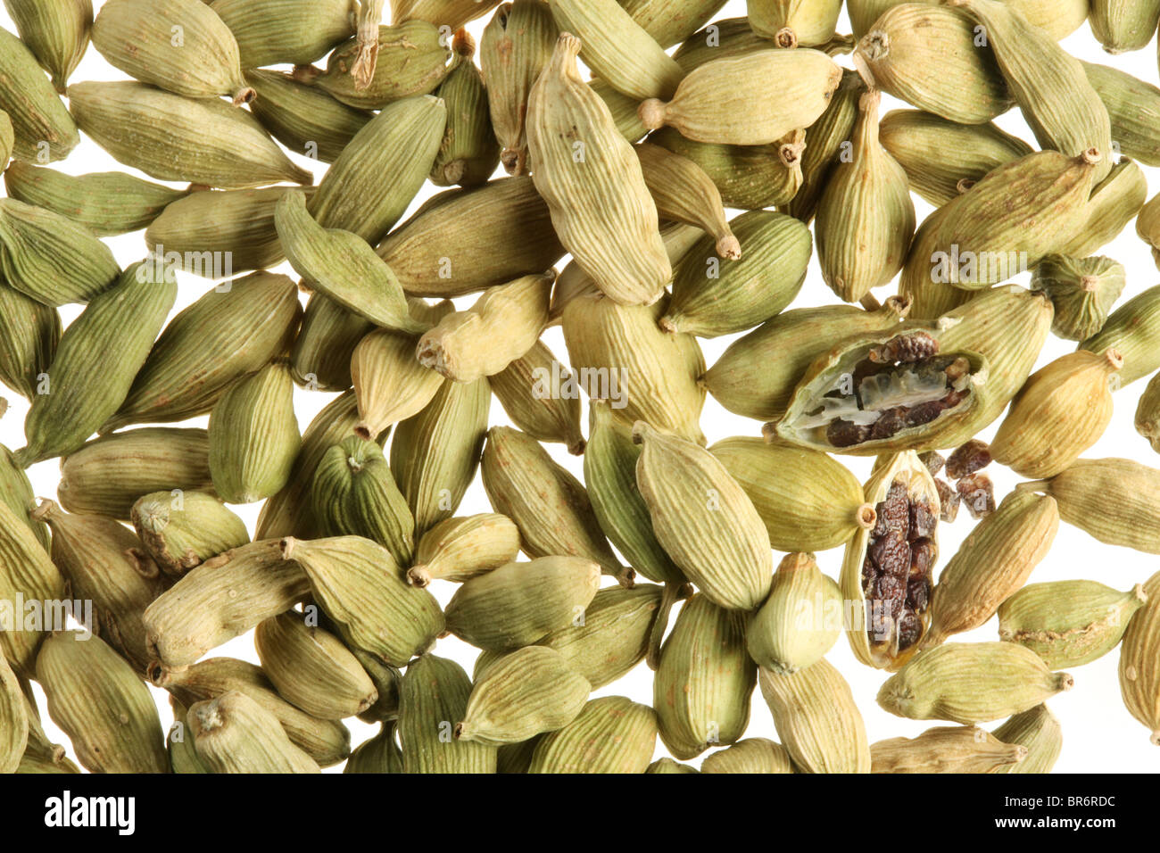Cardamom Plant High Resolution Stock Photography and Images Alamy