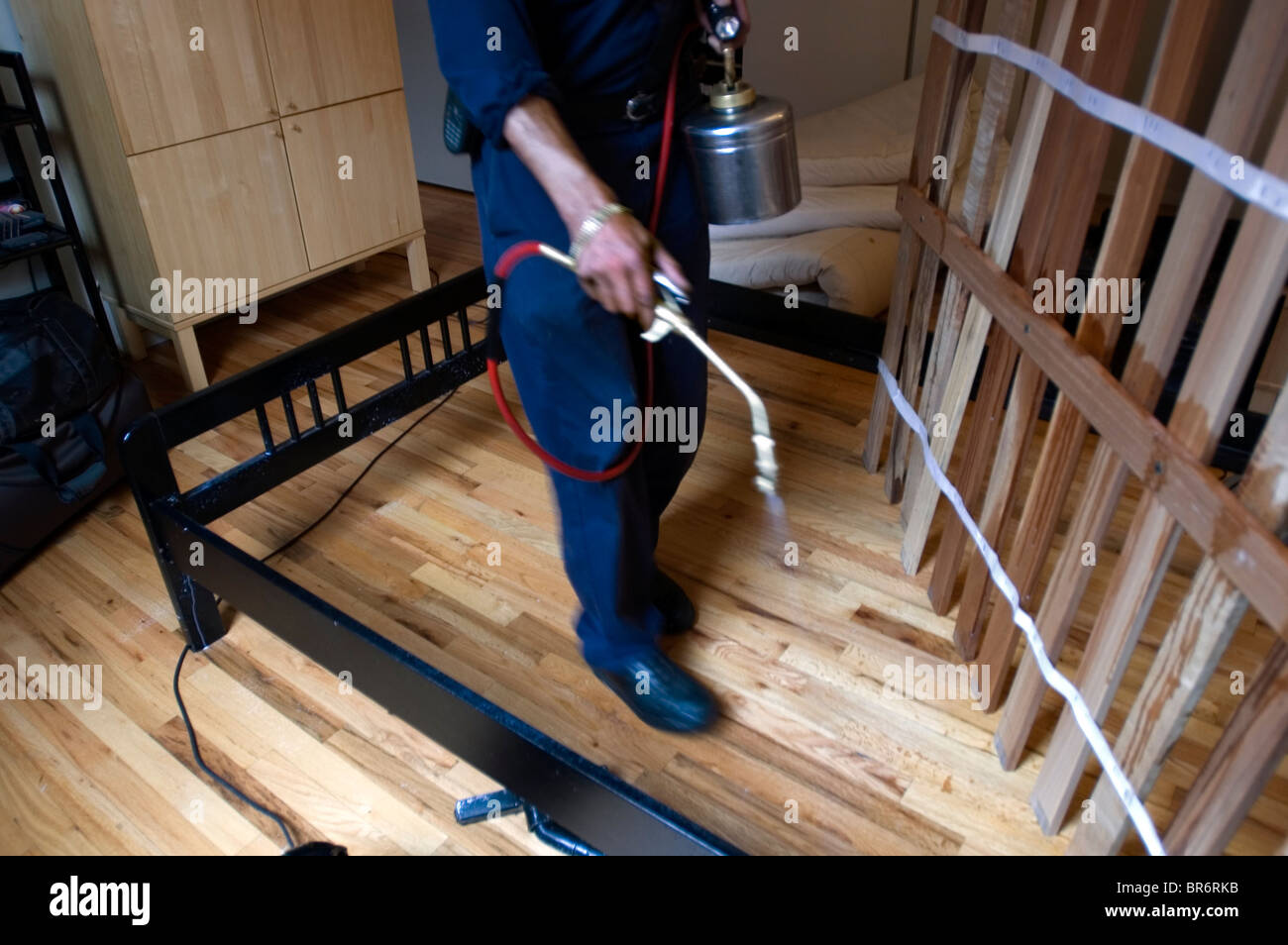 Exterminating a bed bug infestation Stock Photo Alamy