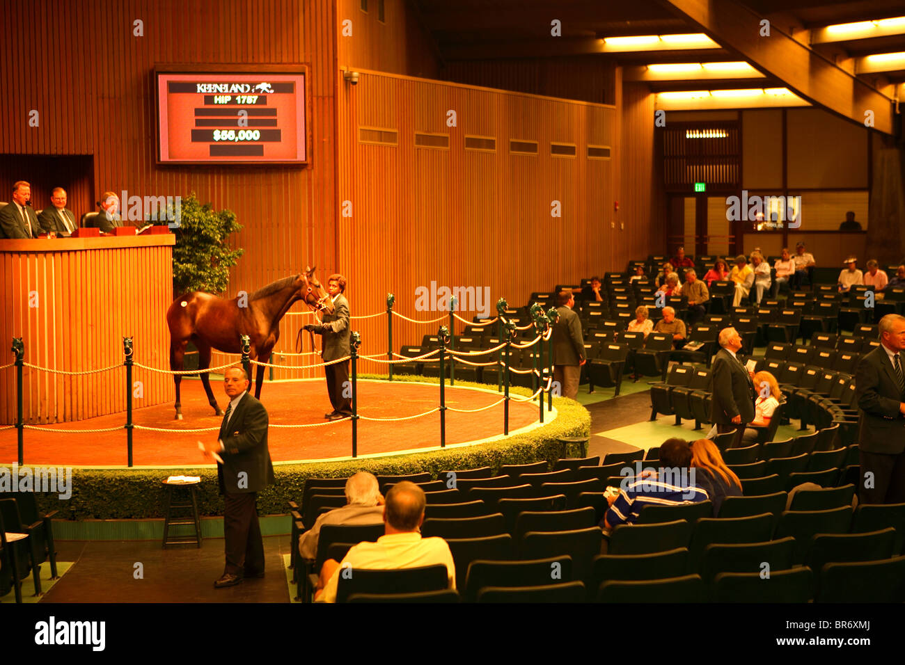 The horse auction at Keeneland racetrack in Lexington KY. Stock Photo