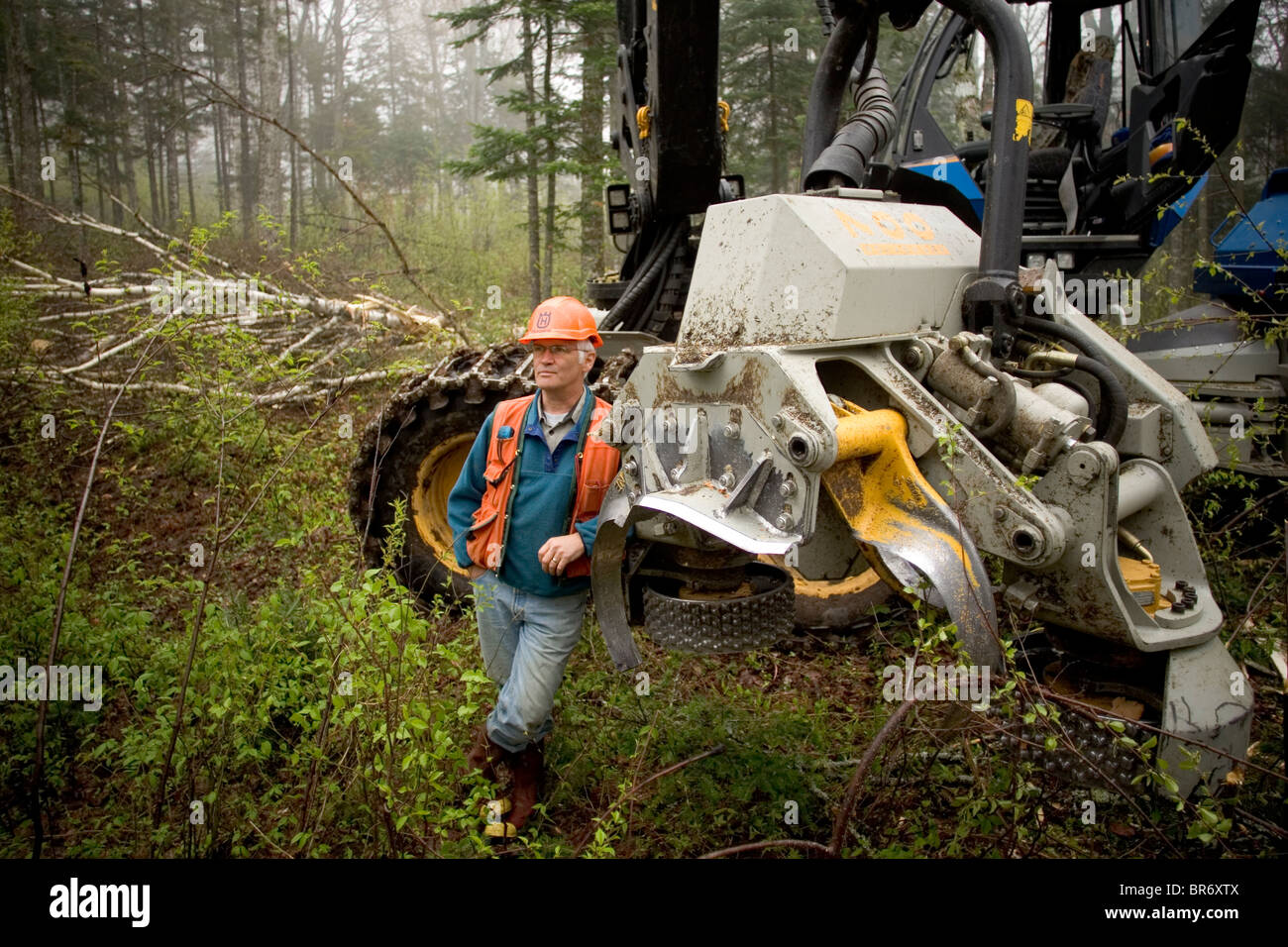 Man leans against tree hires stock photography and images Alamy