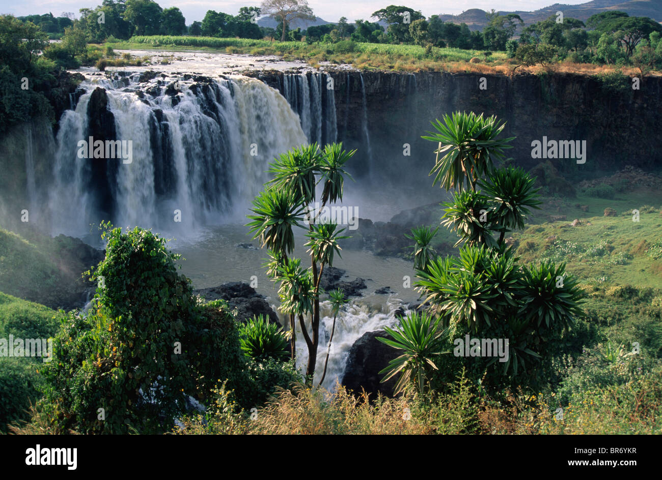 Tissisat Falls landscape, Blue Nile River, Gojam Region, Ethiopia, East ...