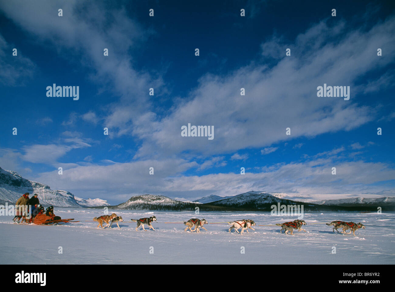 Dog sledging, Saltoluokta, Sarek National Park, Lapland, Sweden. Stock Photo