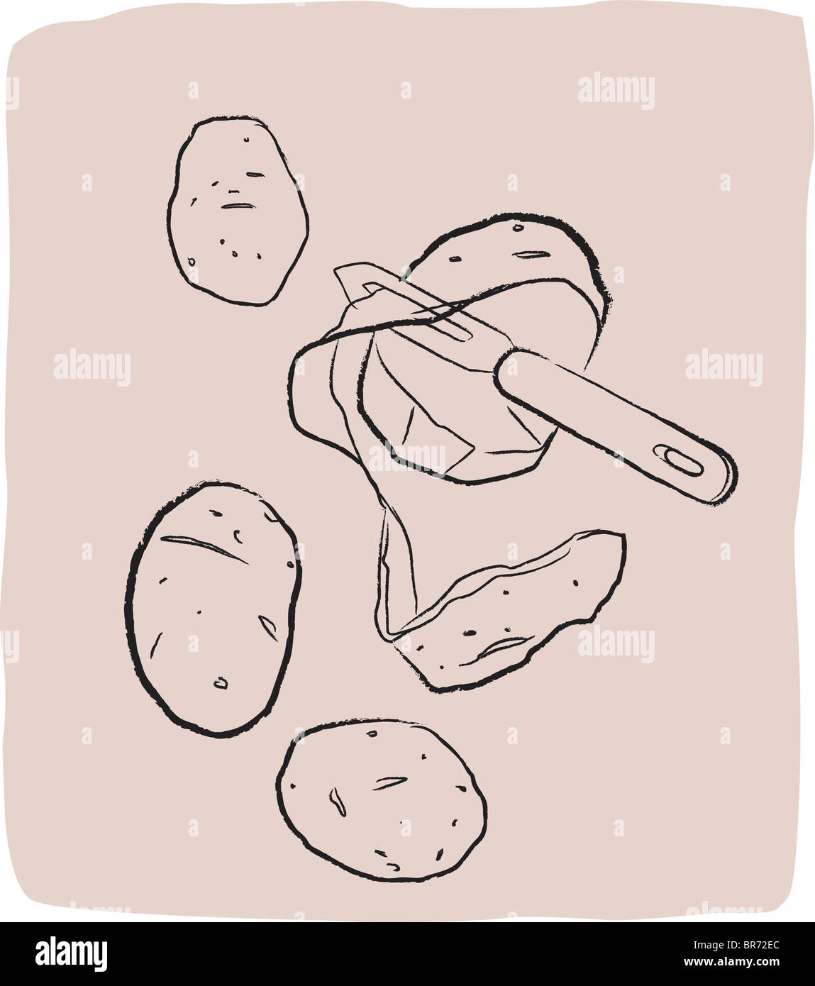 Potato drawing hires stock photography and images Alamy