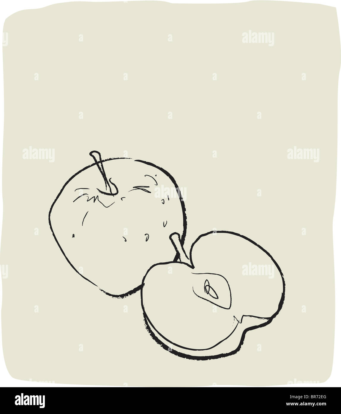 Drawing cross section sketch hires stock photography and images Alamy