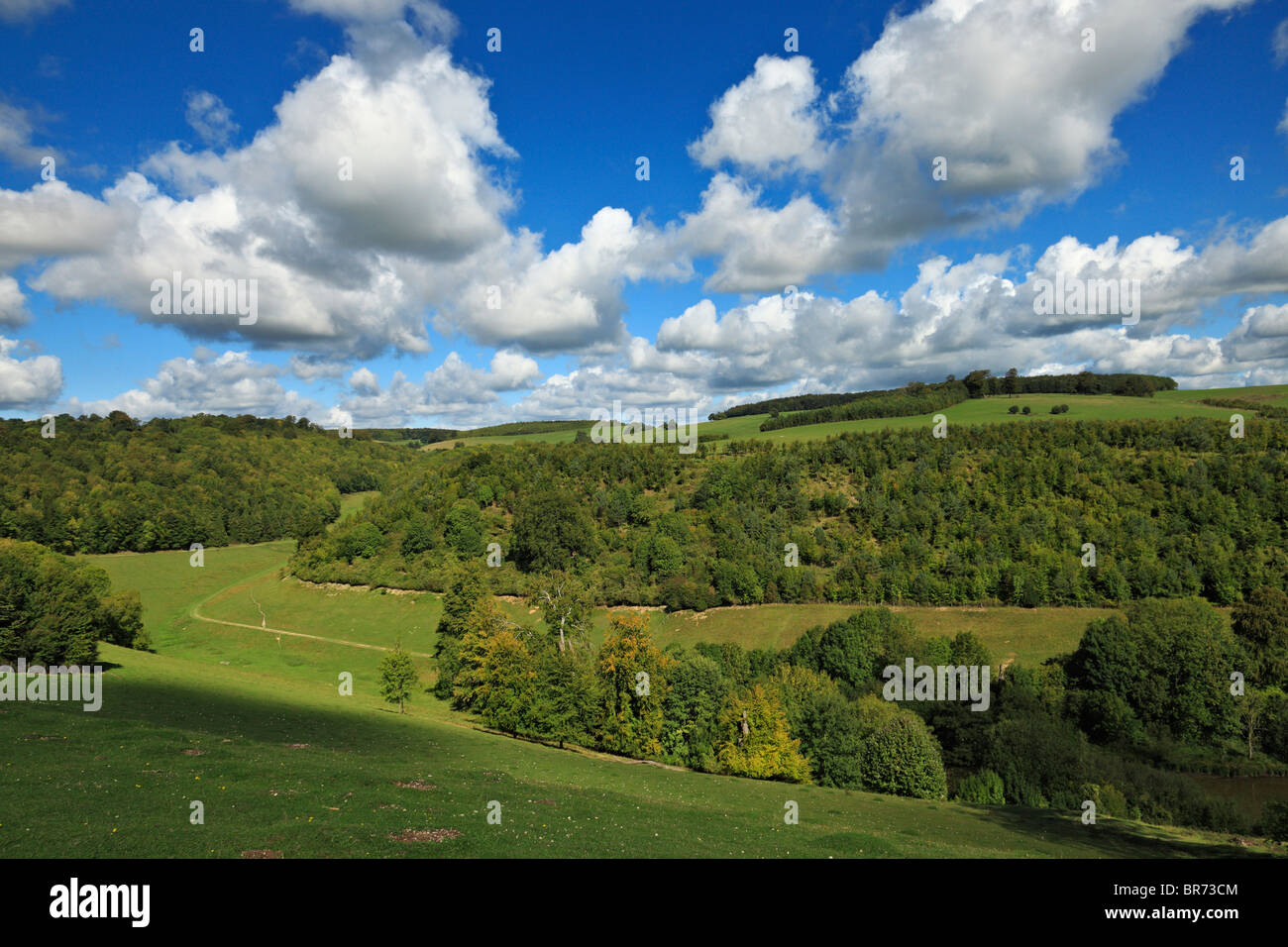 South Downs. Stock Photo