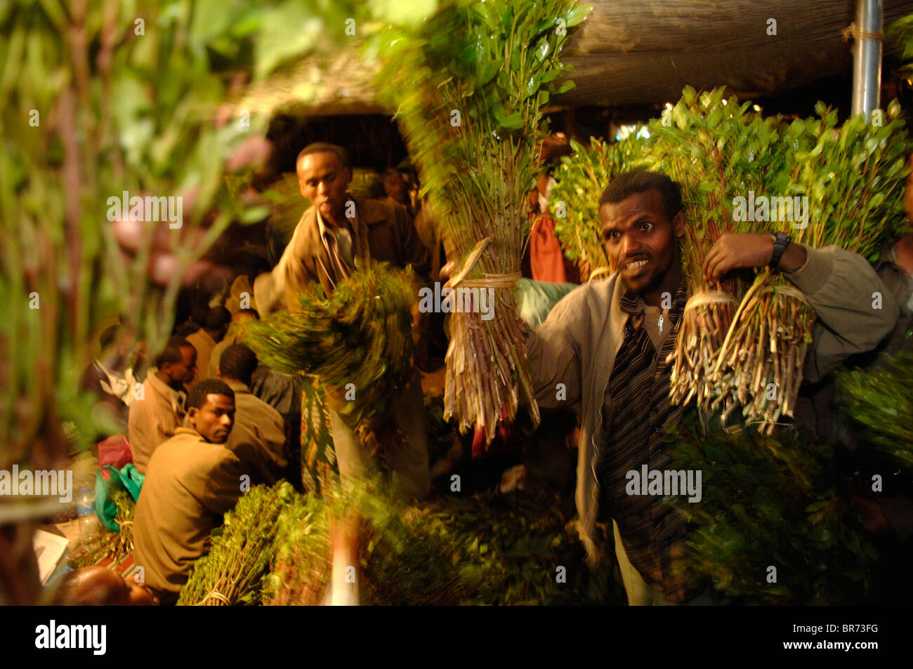 Khat Trade Stock Photo