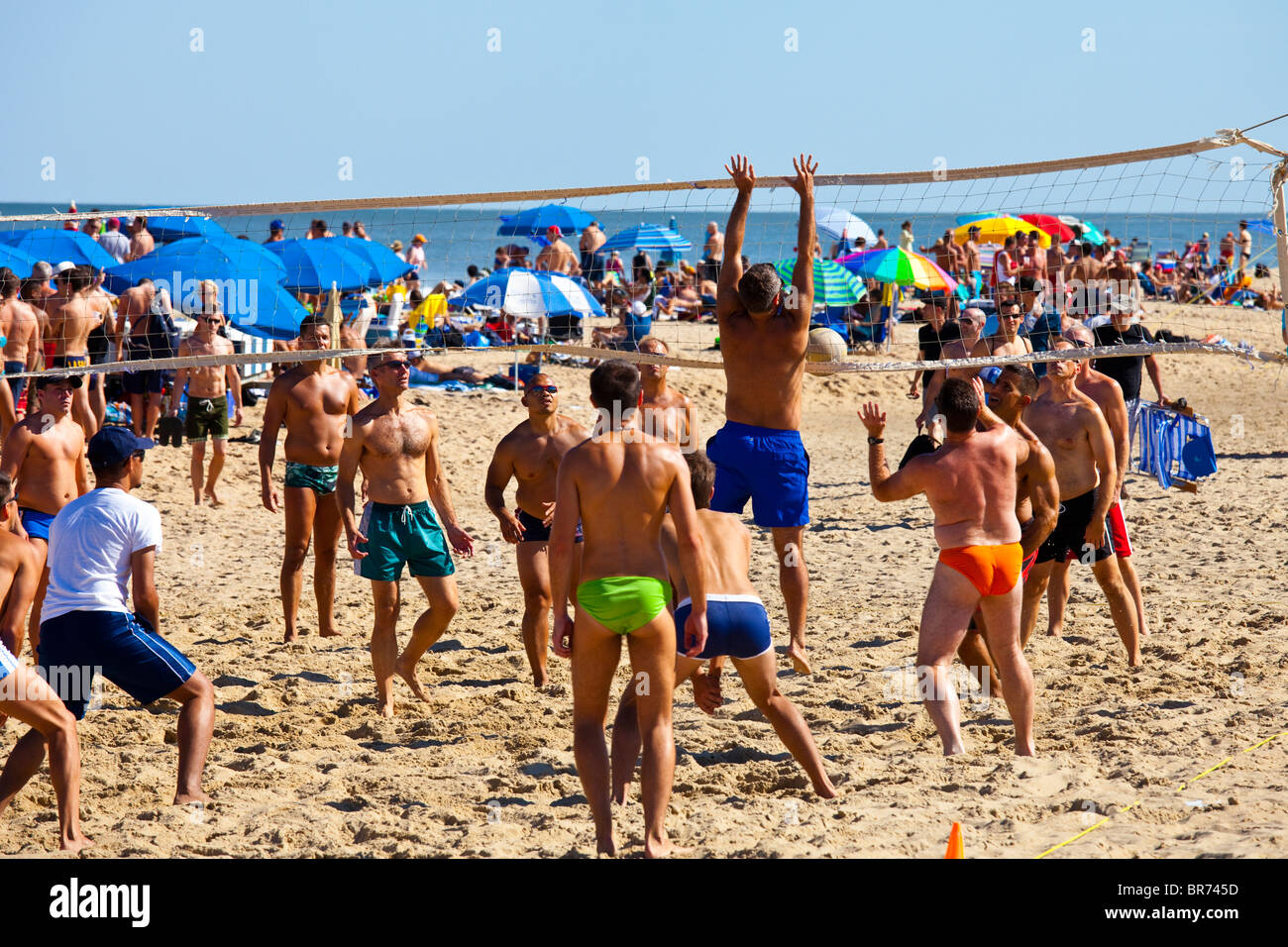Transvestite photo 2010 jelsoft enterprises ltd Rehobith beach a gay area