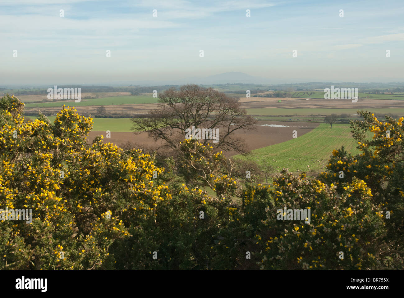 Looking out from Lyth Hill in Shropshire towards the Wrekin. Stock Photo