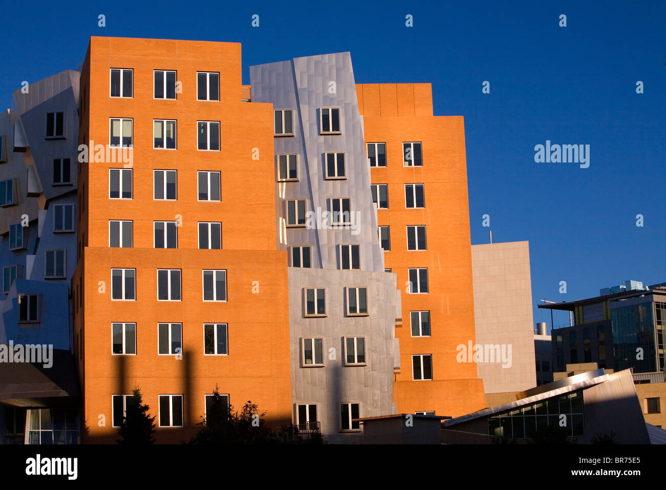 Mit stata center architect frank hi-res stock photography and images ...