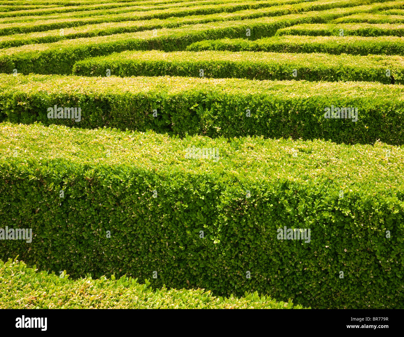 Box-hedge garden on roof of entrance hall of Prado Museum, Madrid, Spain Stock Photo
