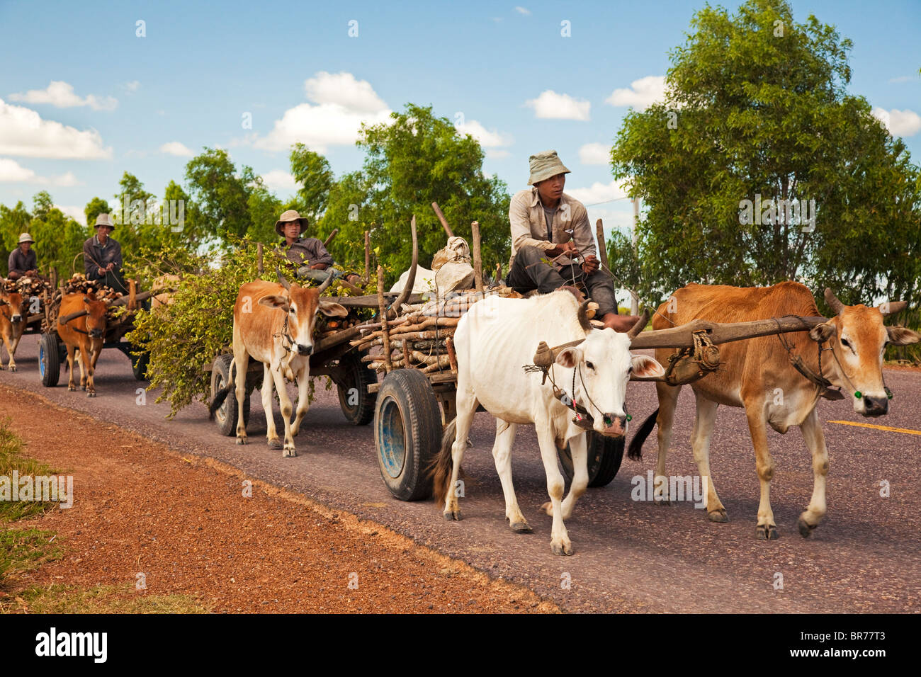 Farming in Cambodia Stock Photo