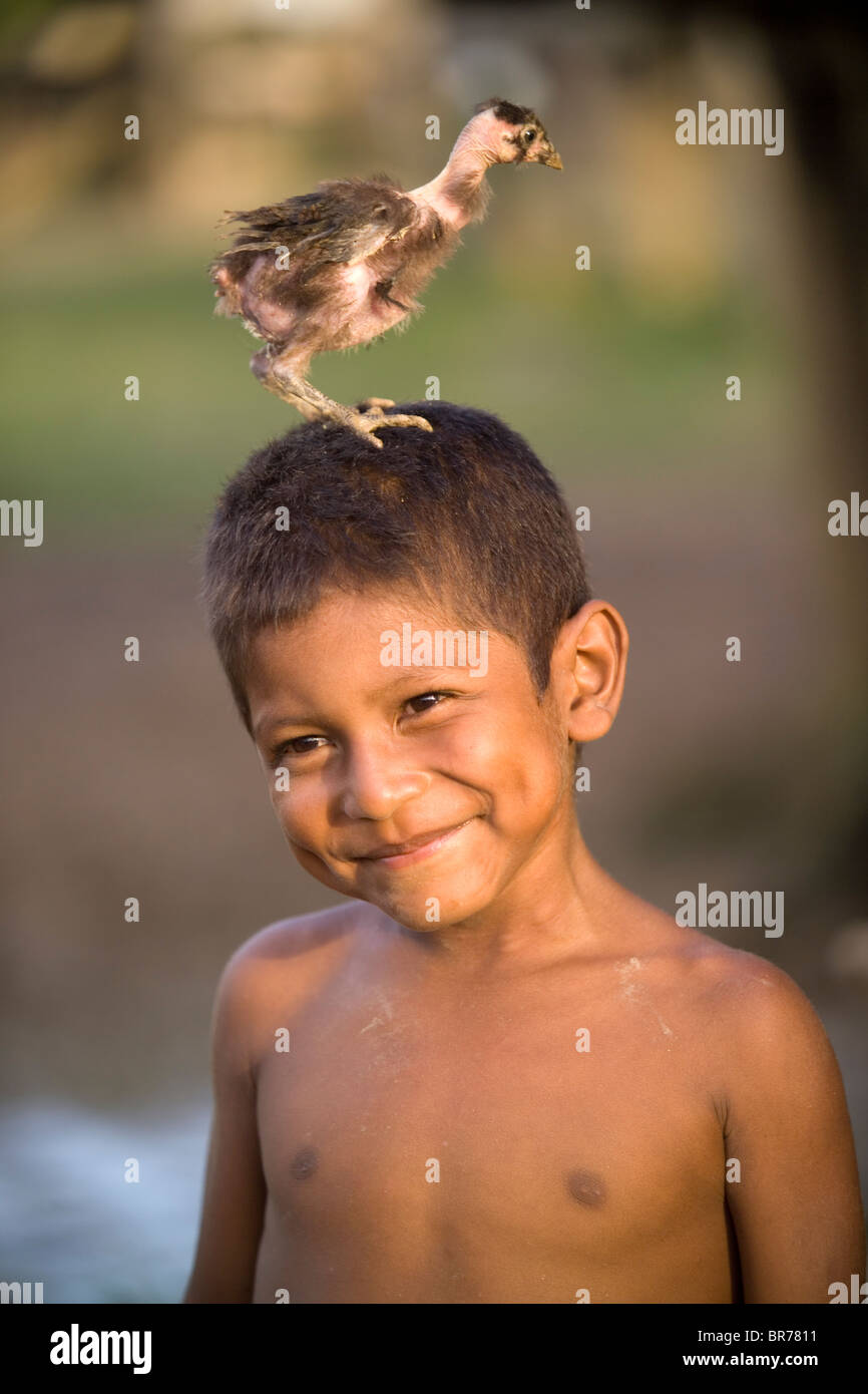 A young Miskito boy playfully shows off with a small native chicken on his head in Krin Krin Nicaragua located on the Rio Coco Stock Photo