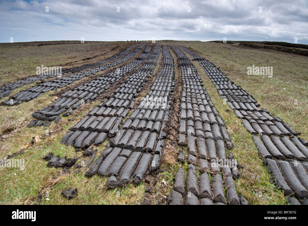 Peat Cutting Barvas, Isle of Lewis, Outer Hebrides, Highlands & Islands, Scotland.  SCO 6665 Stock Photo