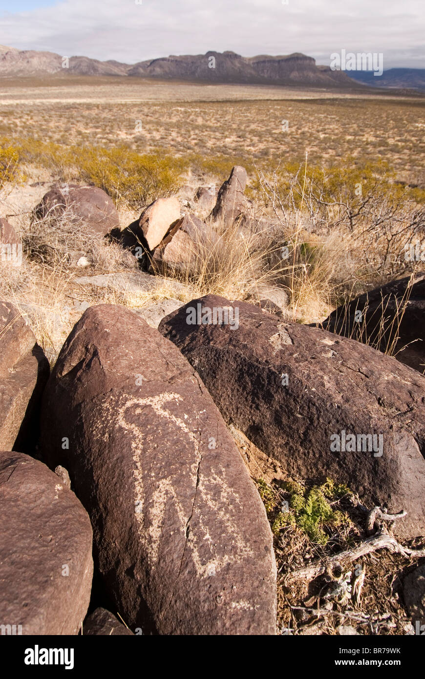 Petroglyphs in the Chihuahuan desert near Three Rivers New Mexico. Stock Photo