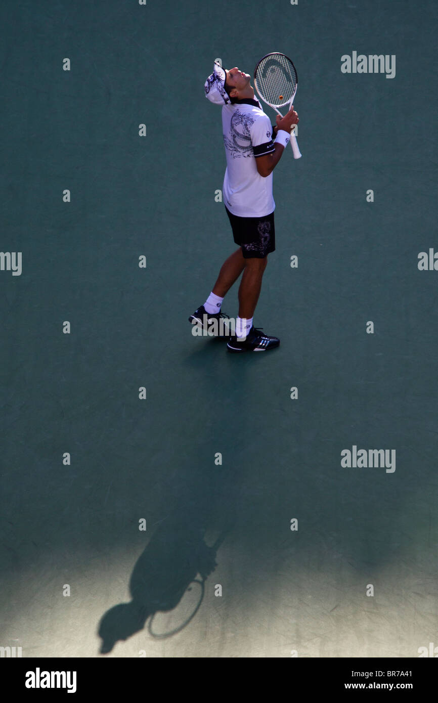 Novak Djokovic (SRB) competing in the Men's Semi-Finals in Arthur Ashe Stadium at the 2010 US Open Tennis. Stock Photo