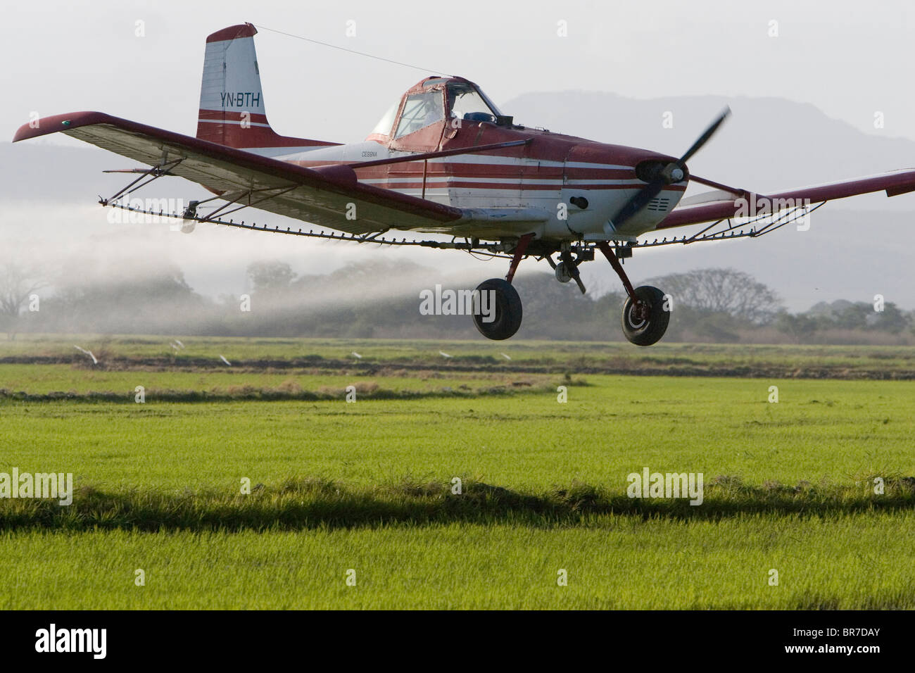 Cropduster hi-res stock photography and images - Alamy