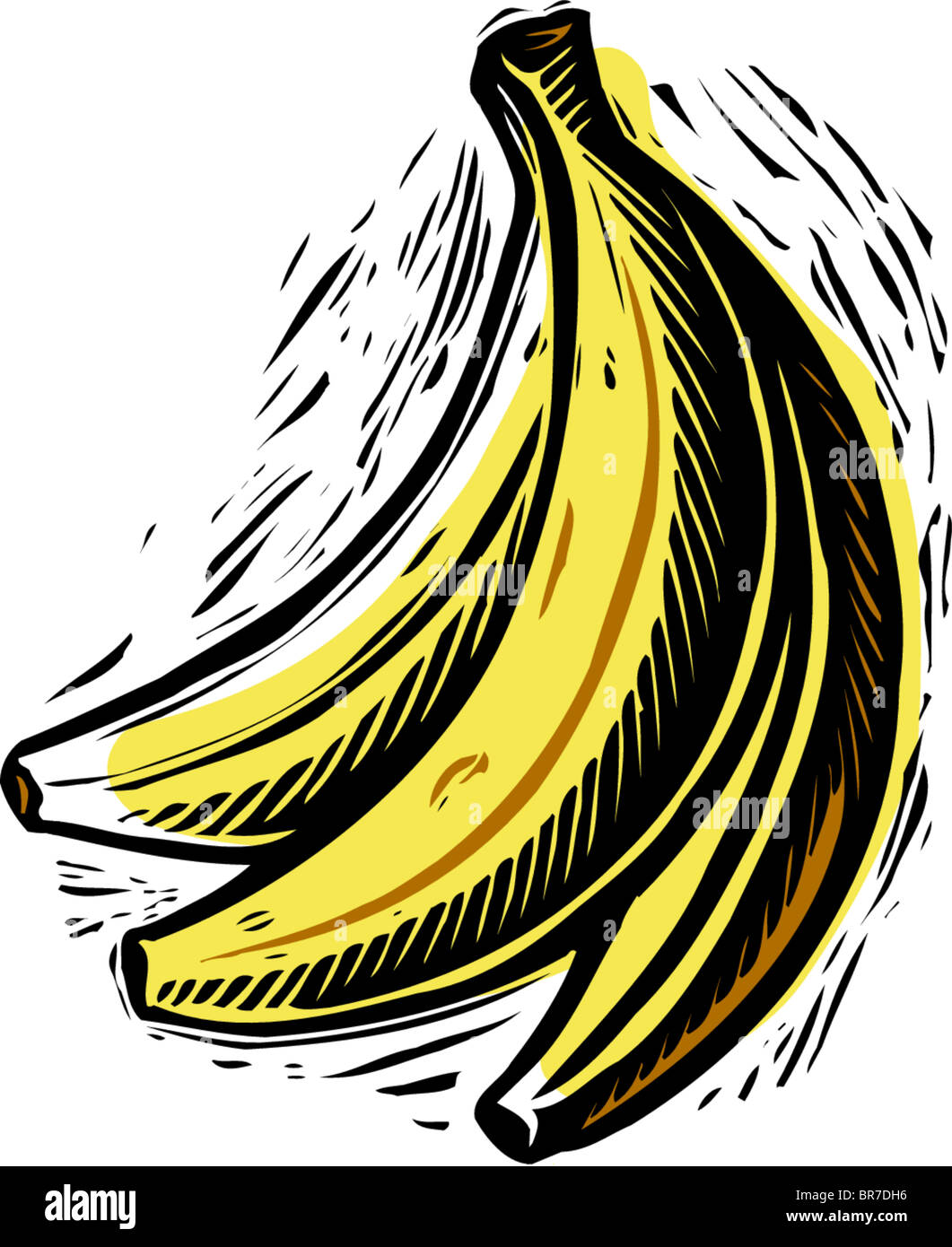 a bunch of bananas Stock Photo Alamy
