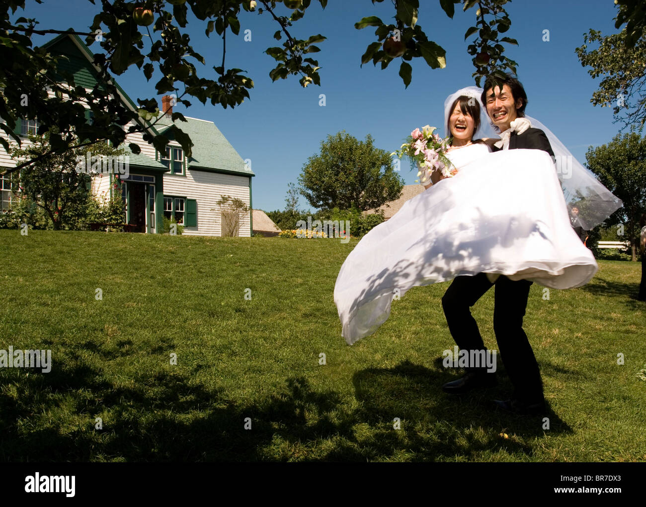 Green Gables Wedding Stock Photo