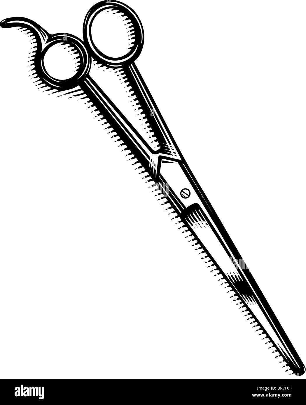 A pair of scissors Stock Photo