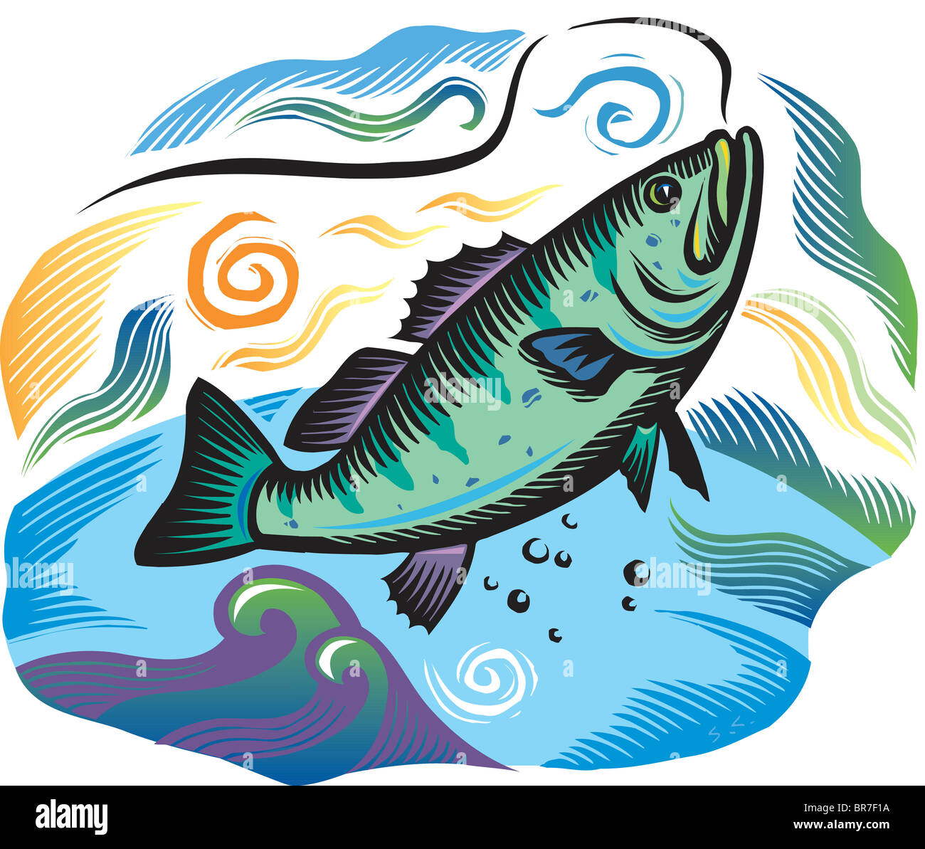 A fish taking bait Stock Photo Alamy