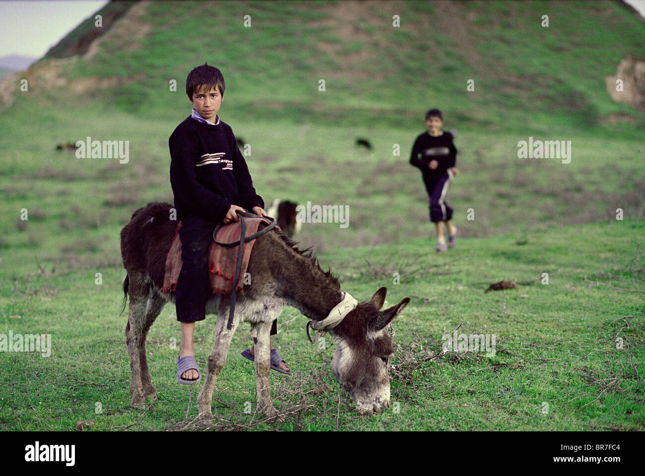 Tajik boy and his donkey Stock Photo
