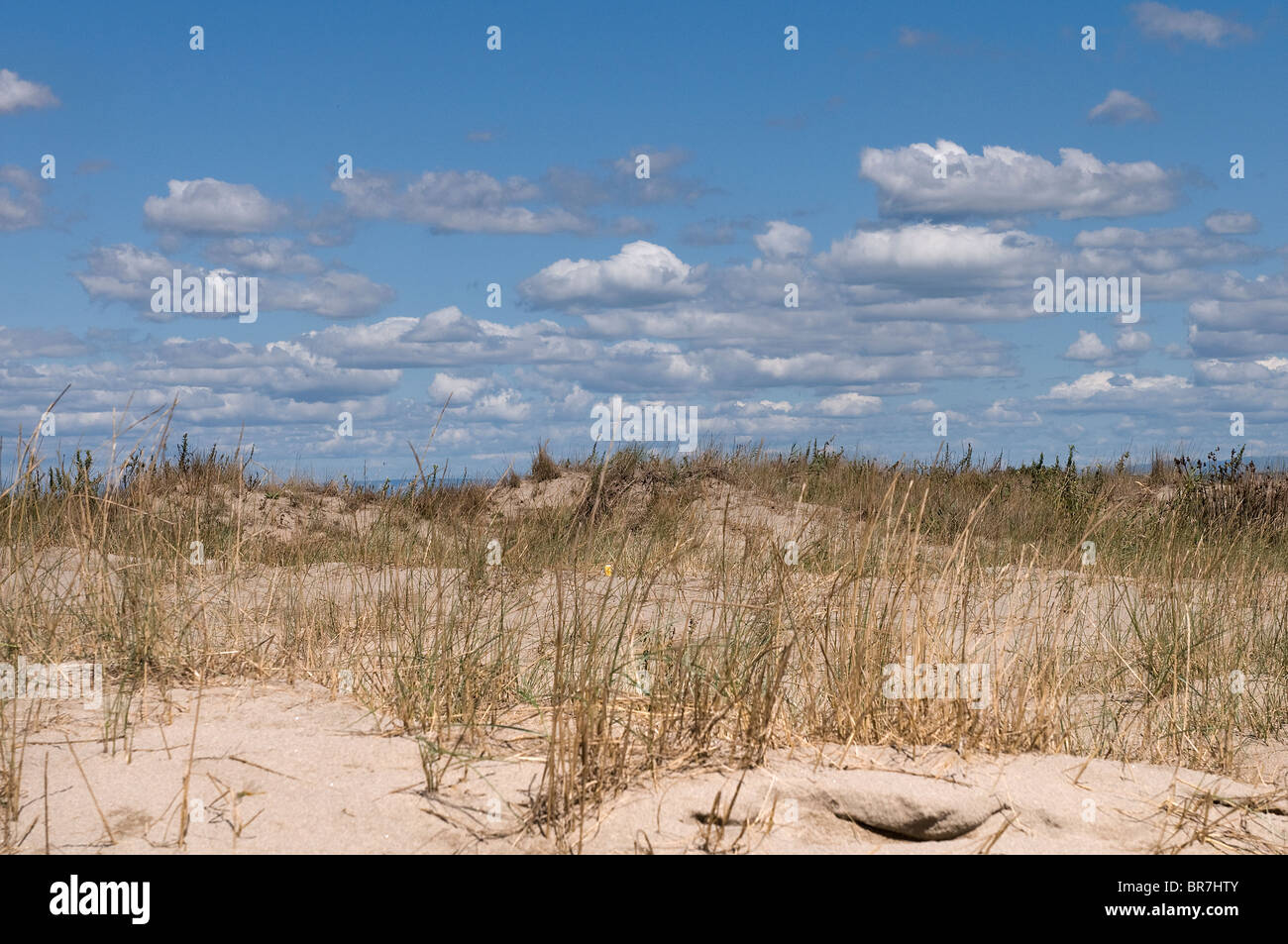 sand dunes, Napoleon Beach, Port Saint Louis du Rhone, Provence-Alpes ...