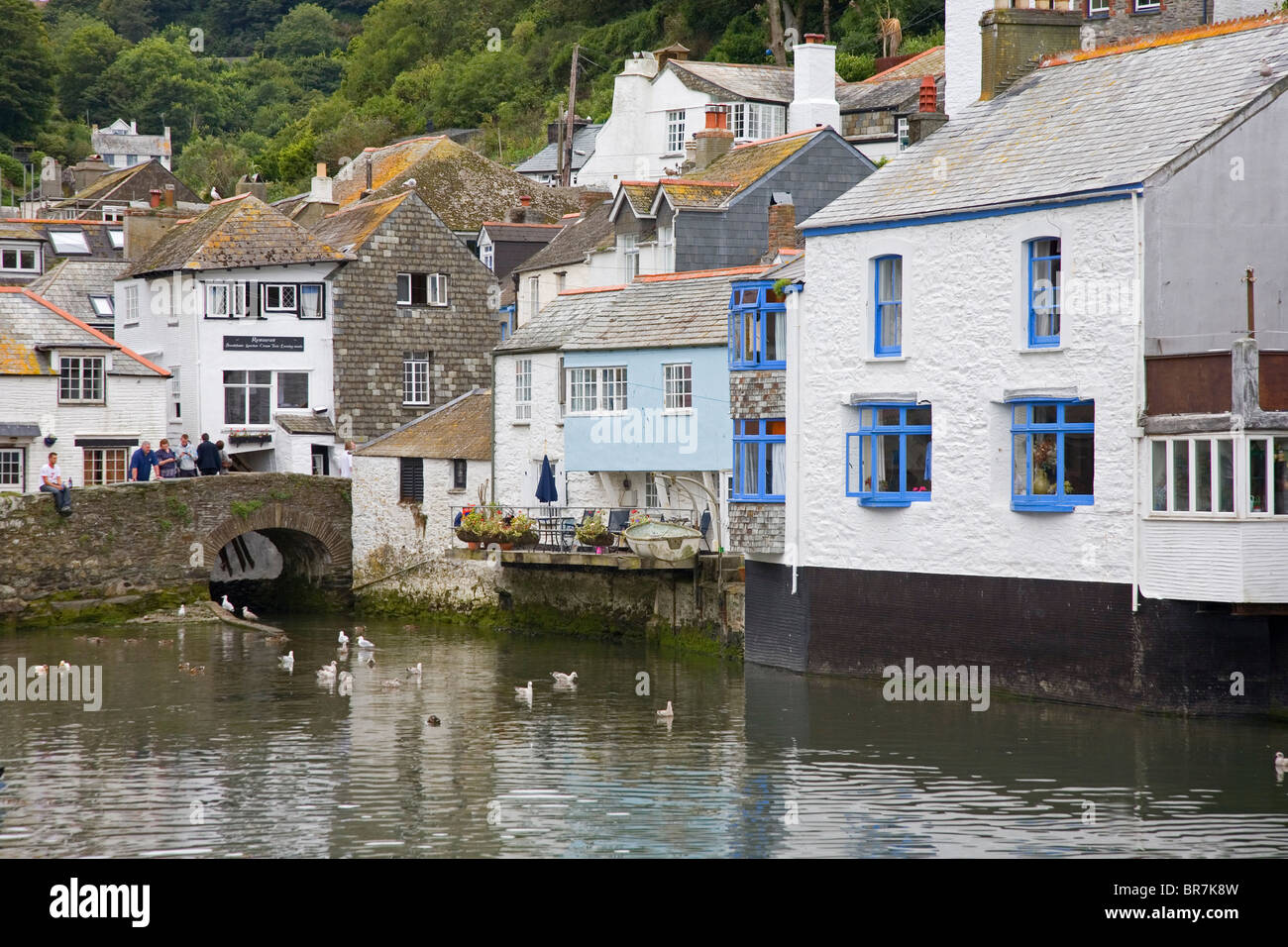 Cottages on the quayside harbour at the traditional fishing village of