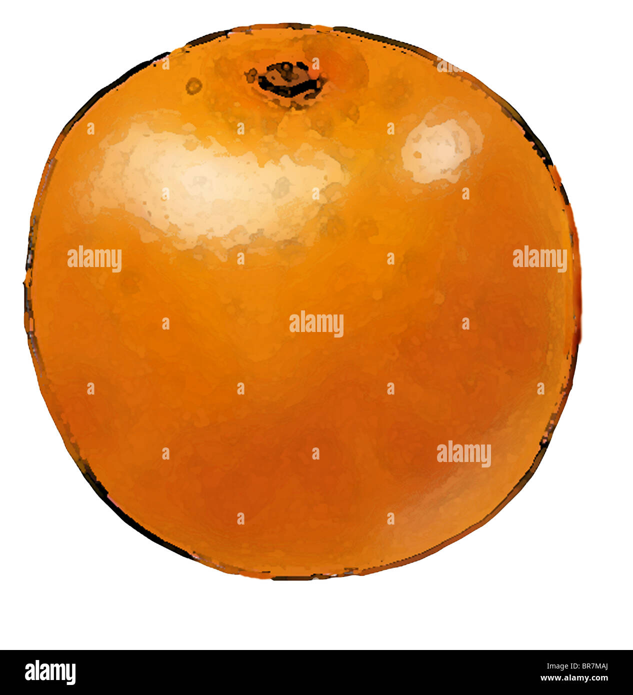 An illustration of a big round Orange Stock Photo Alamy