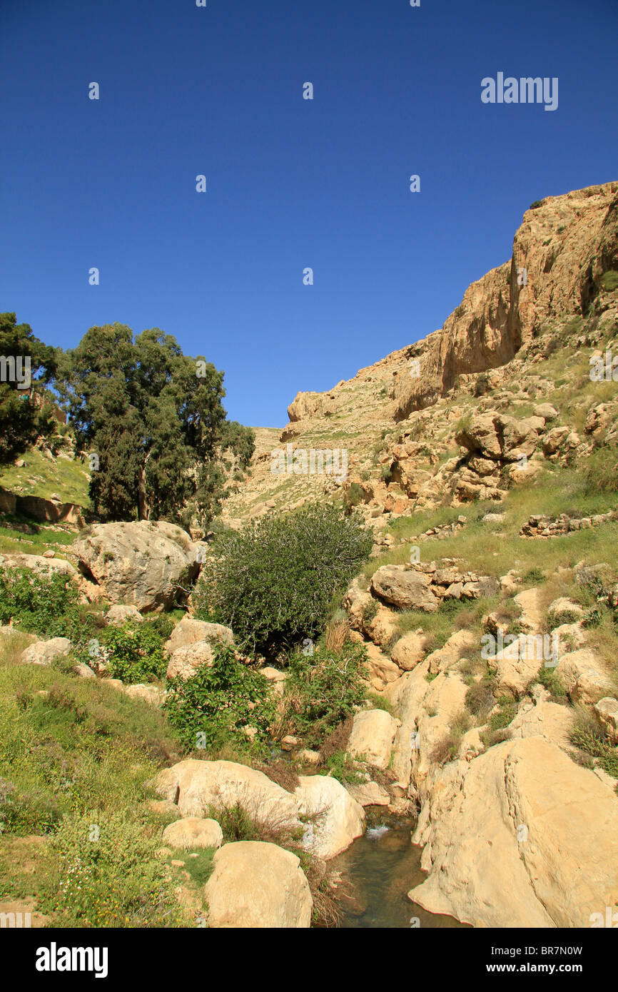 Judean desert, Ein Prat (Ein Fara) in Wadi Qelt Stock Photo