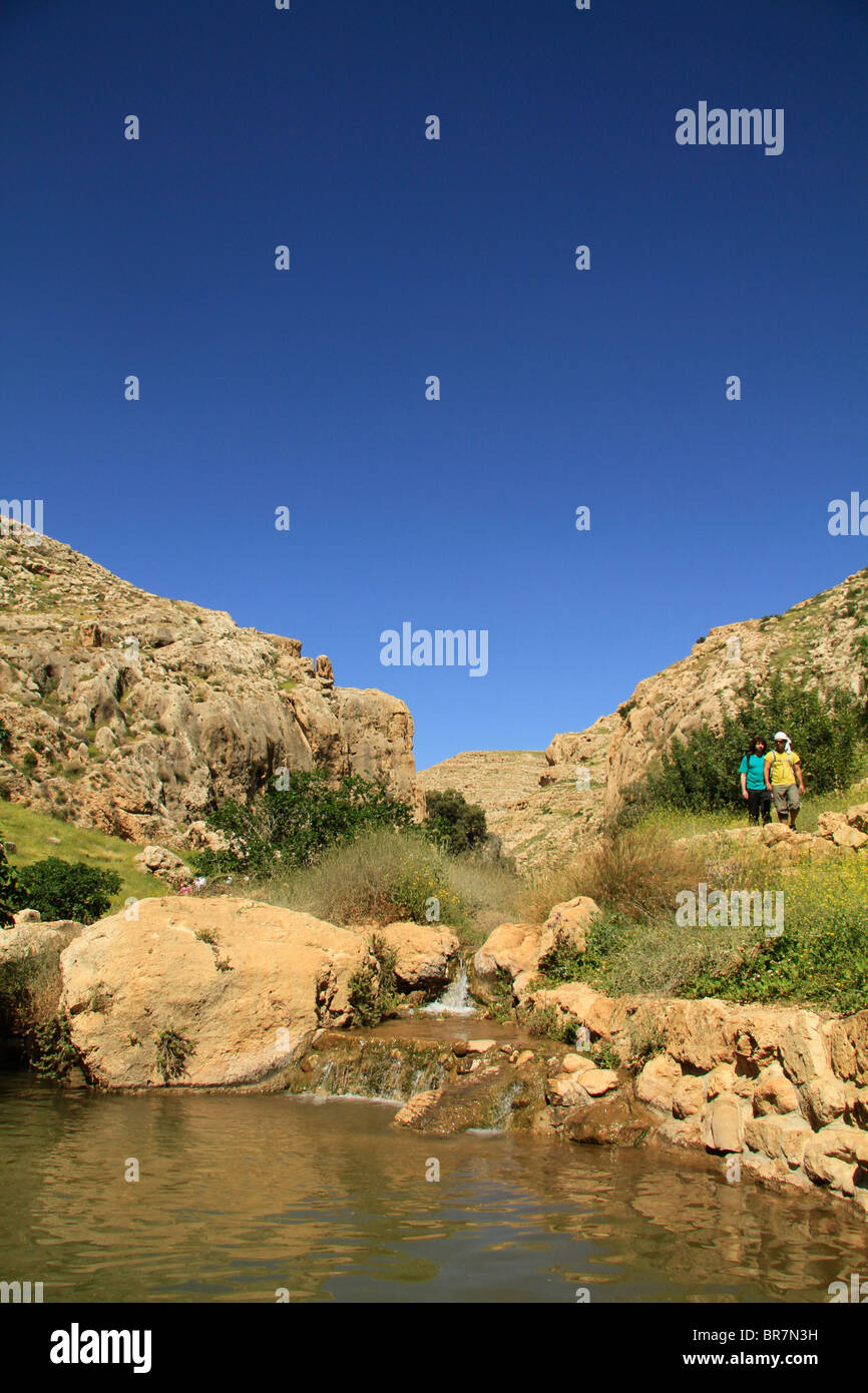 Judean desert, Ein Prat (Ein Fara) in Wadi Qelt Stock Photo