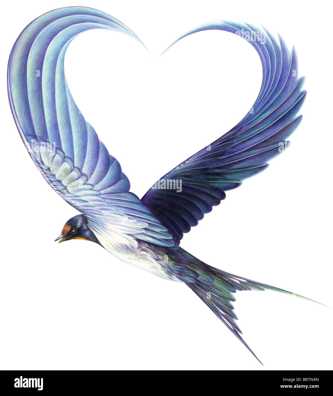 Flying bird wings forming heart shape Stock Photo Alamy