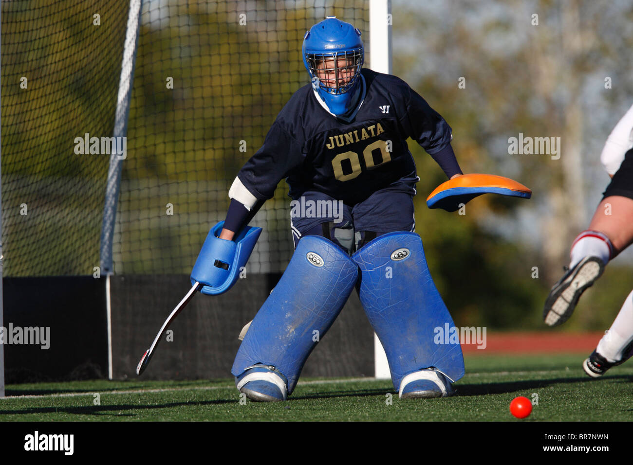 Field hockey goalkeeper hires stock photography and images Alamy