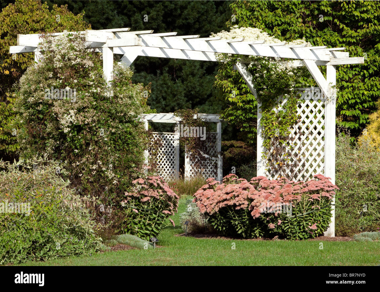 A white lattice arbor with abundant flowers and climbing plants in a