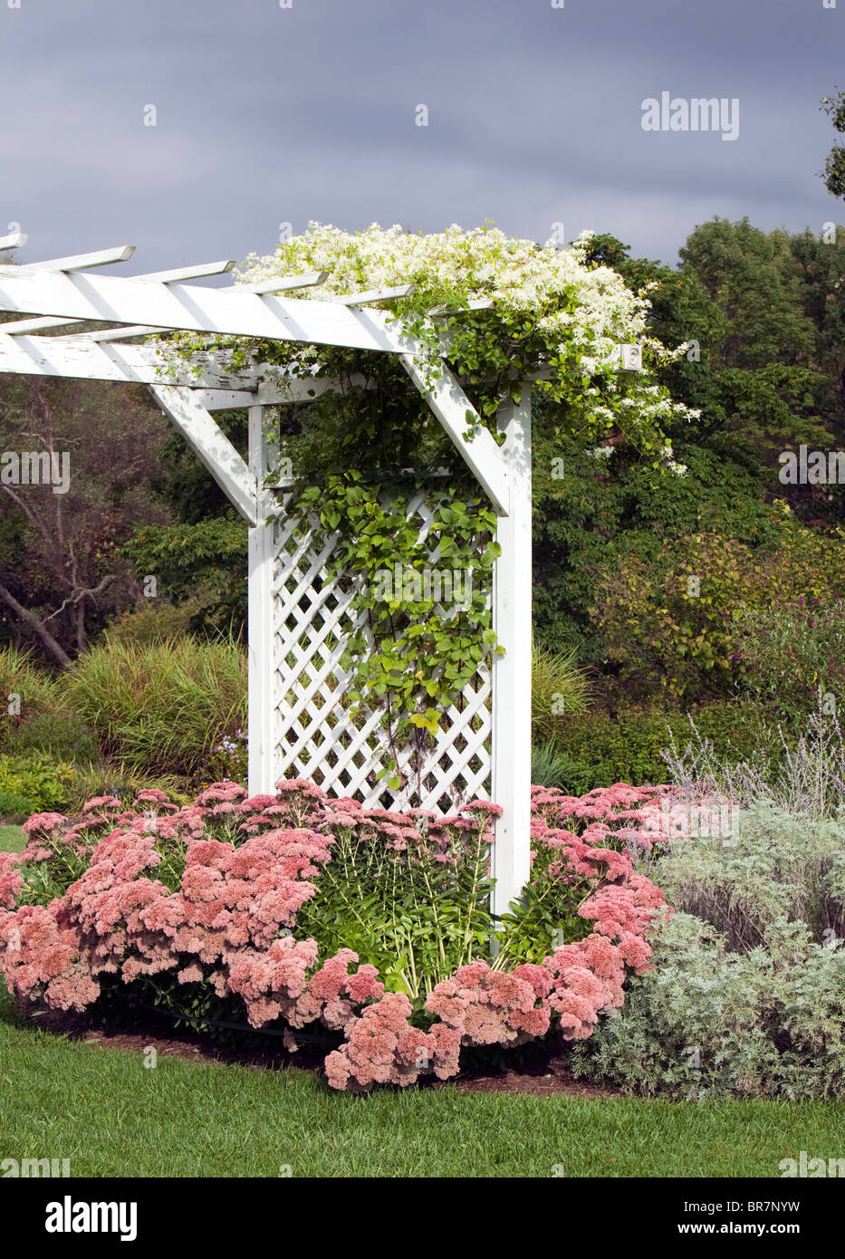 A white lattice arbor with abundant flowers and climbing plants in a