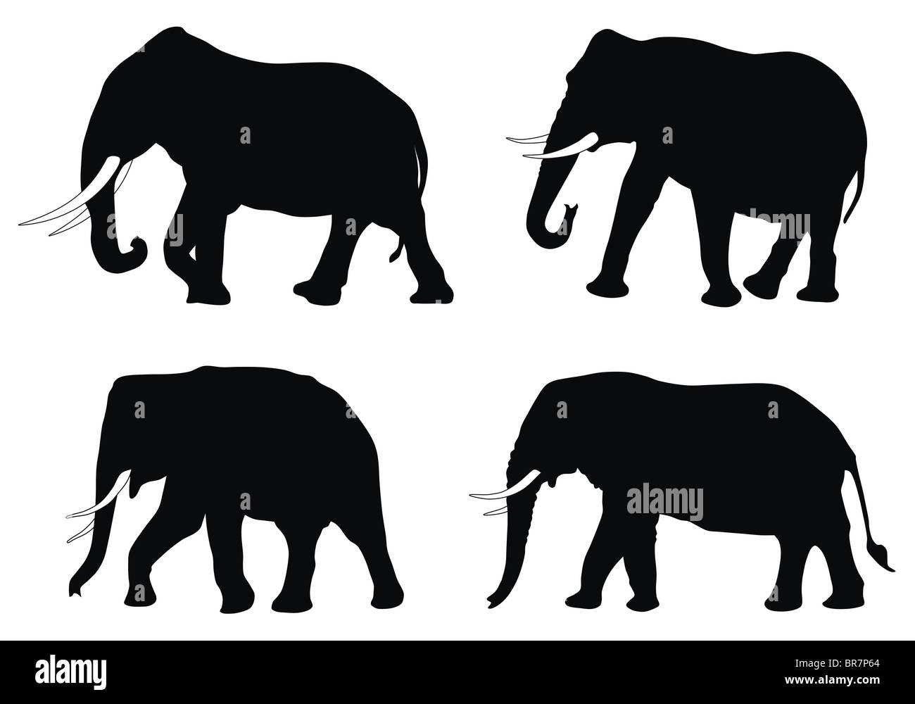 Indian Elephant Cut Out Printable