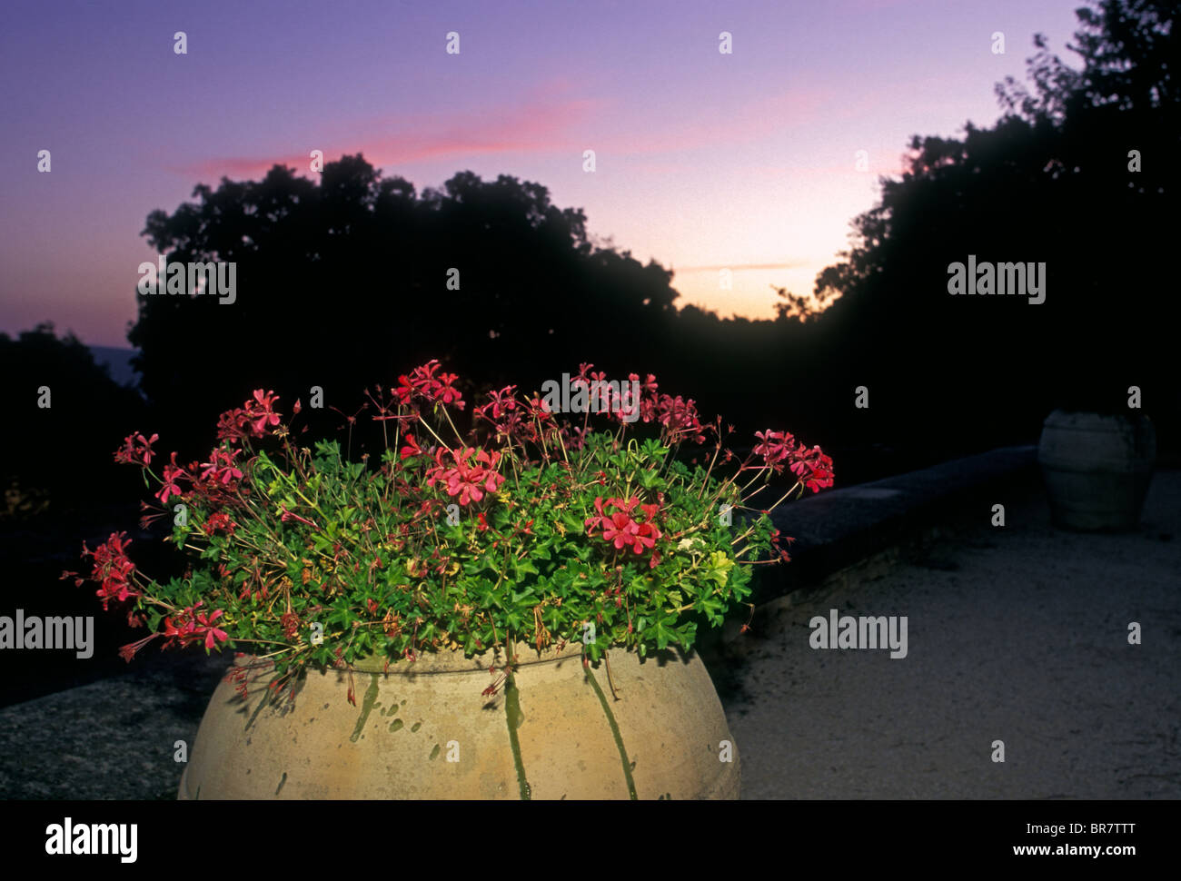 Gordien hires stock photography and images Alamy