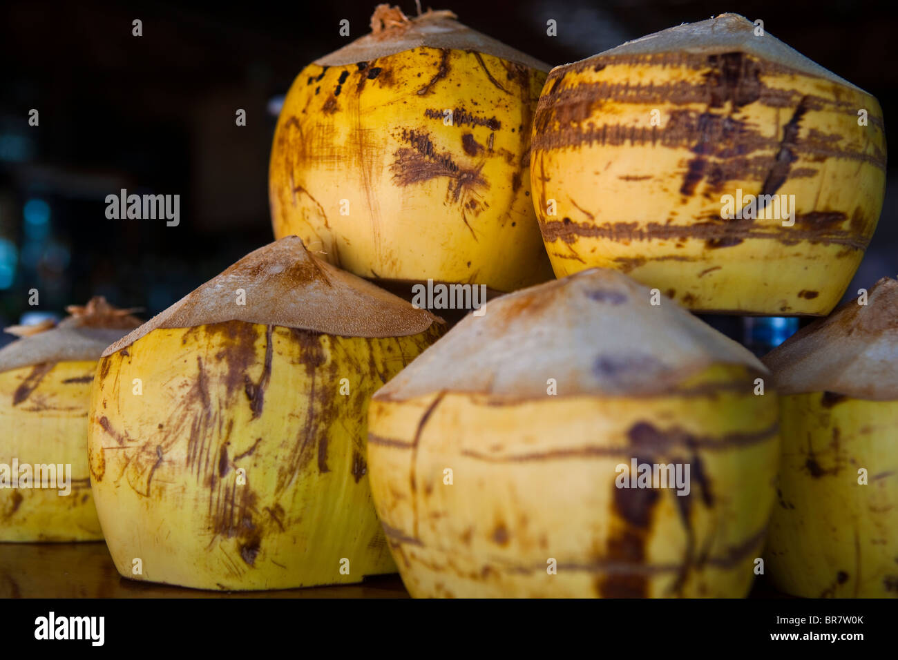 Coconuts Stock Photo