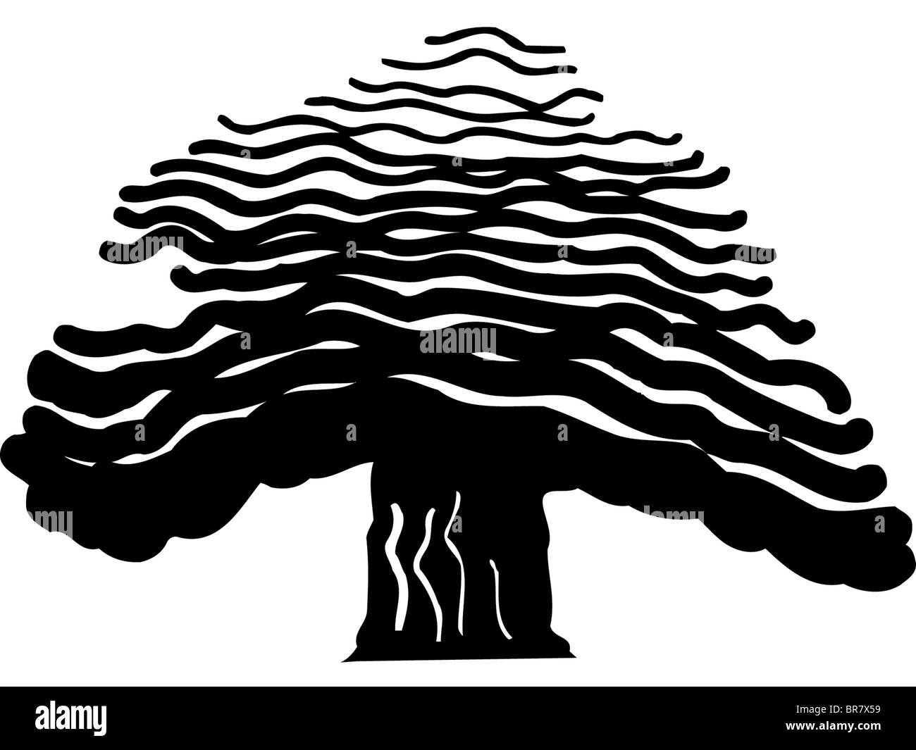 Drawing of a bold tree Stock Photo