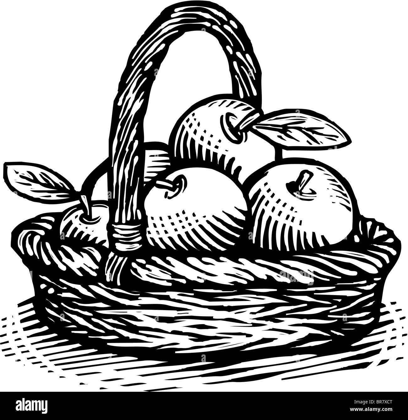 Drawing of a basket of apples drawn in black and white Stock Photo