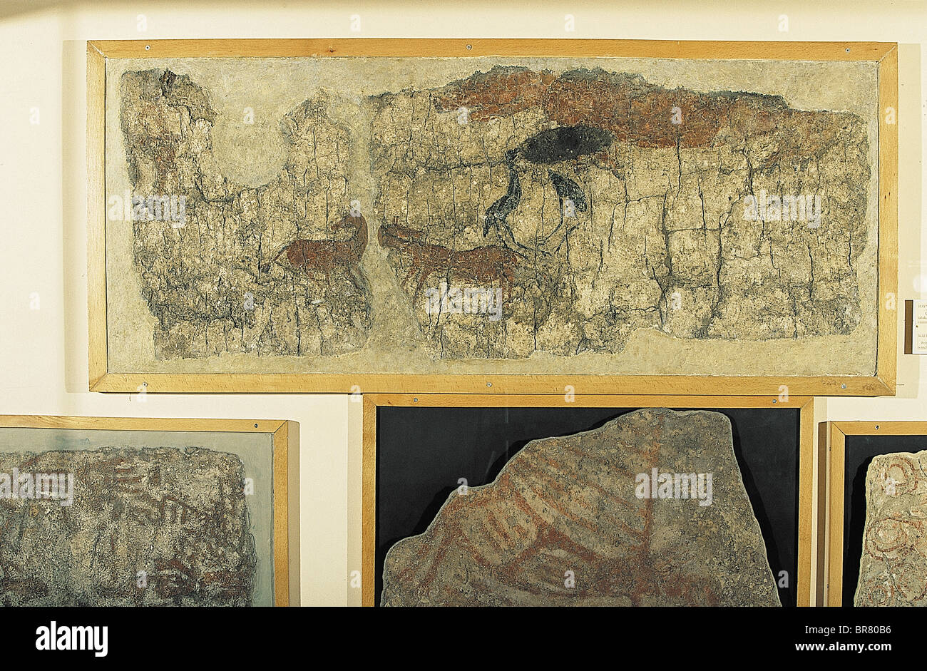 Wall paintings depicting horses from Catalhoyuk excavations, Anatolian Civilization Museum, Ankara Turkey. Stock Photo