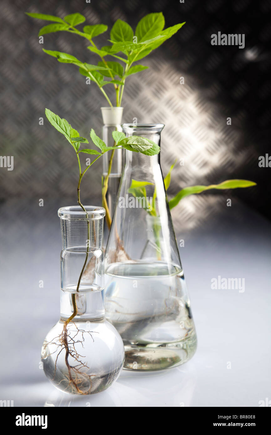 H2o laboratory hi-res stock photography and images - Alamy