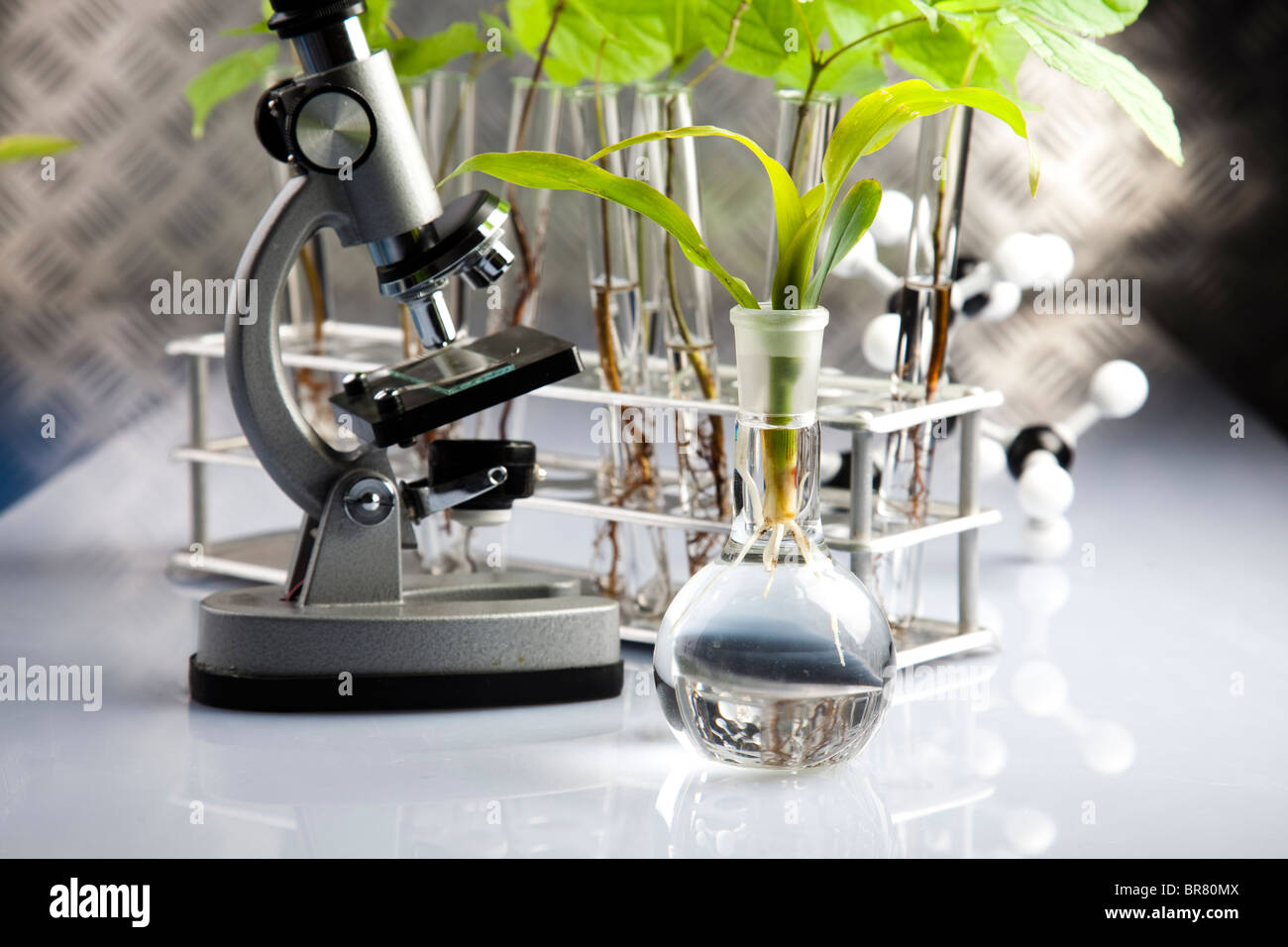 Floral science in laboratory Stock Photo Alamy