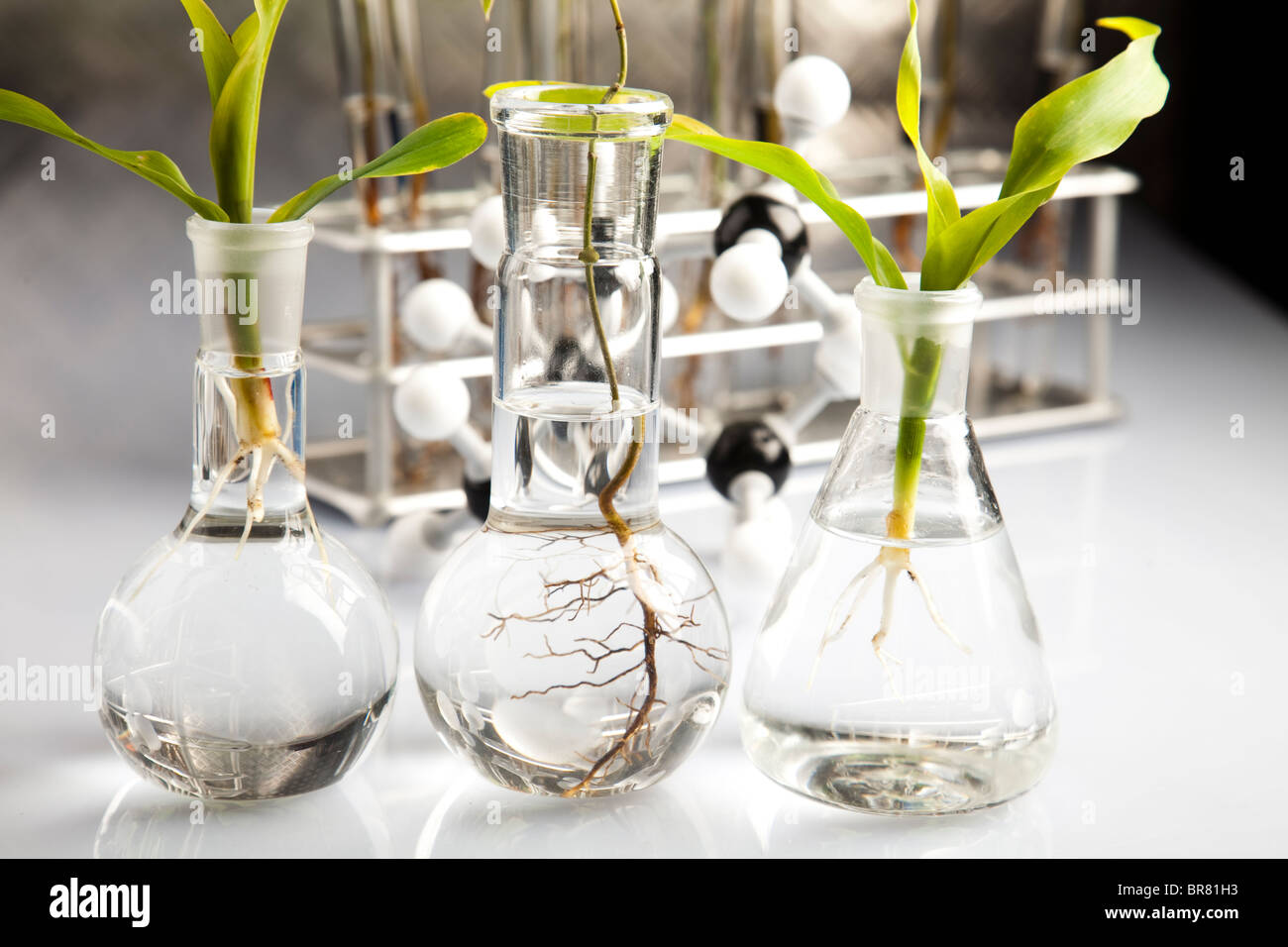 H2o laboratory hi-res stock photography and images - Alamy