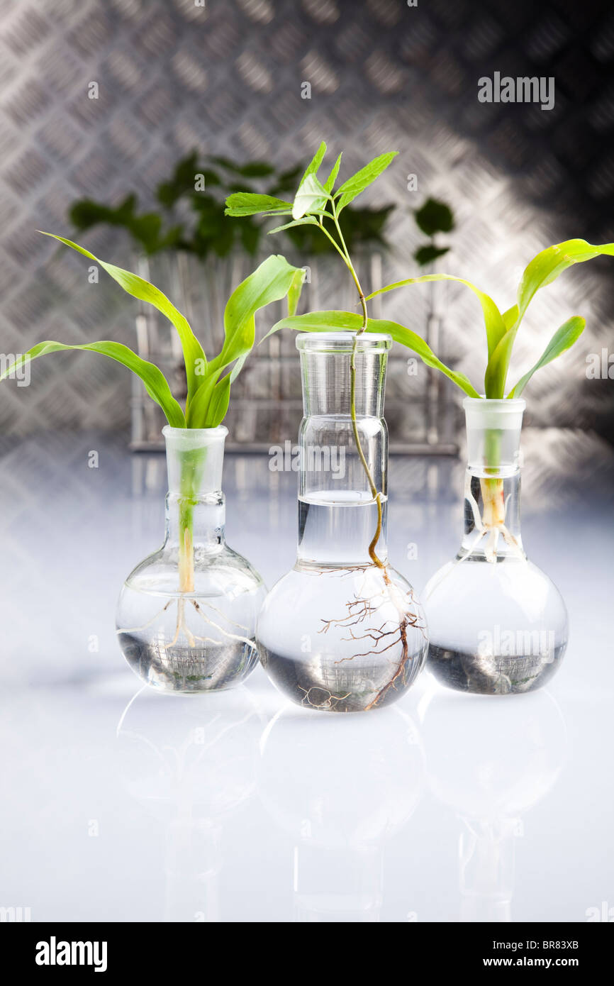 Agricultural engineering laboratory hi-res stock photography and images ...