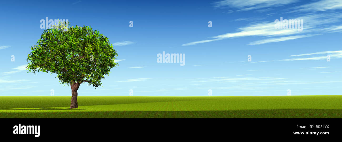 Tree on field. The bright blue sky. 3D Stock Photo - Alamy