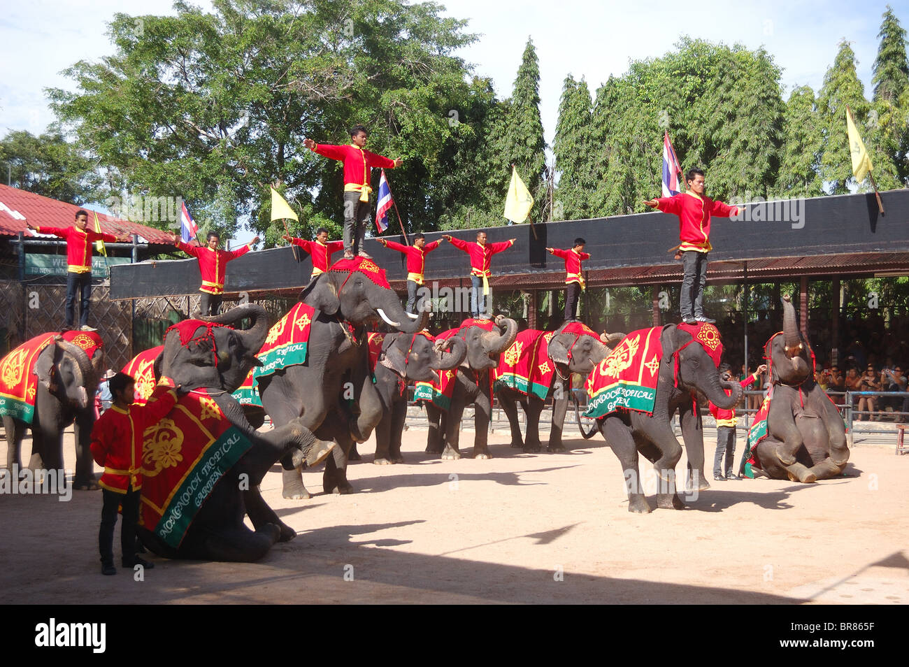The famous elephant show in Nong Nooch tropical garden, Pattaya, Thailand Stock Photo