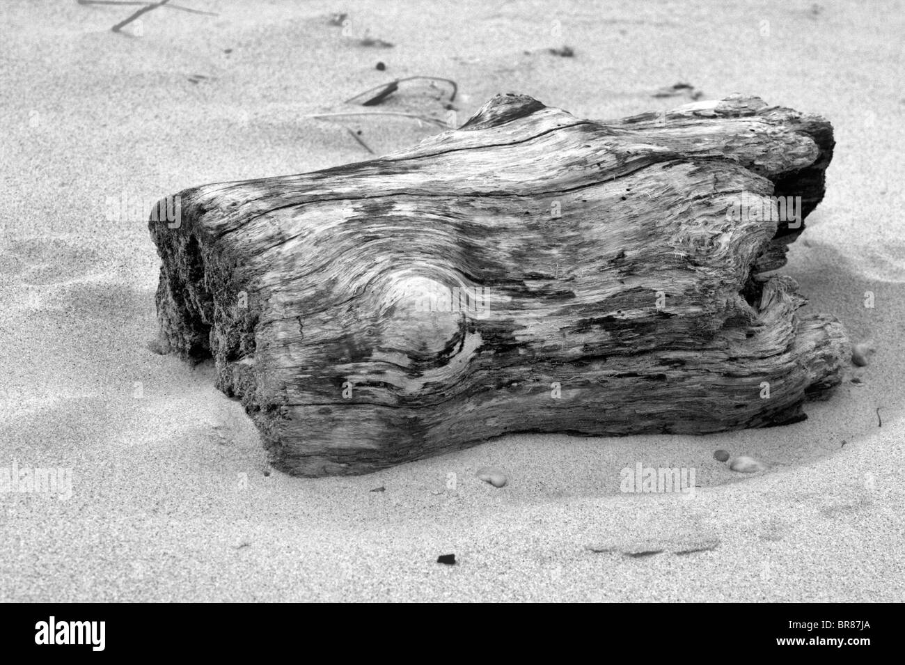 Art beach Black and White Stock Photos & Images - Alamy