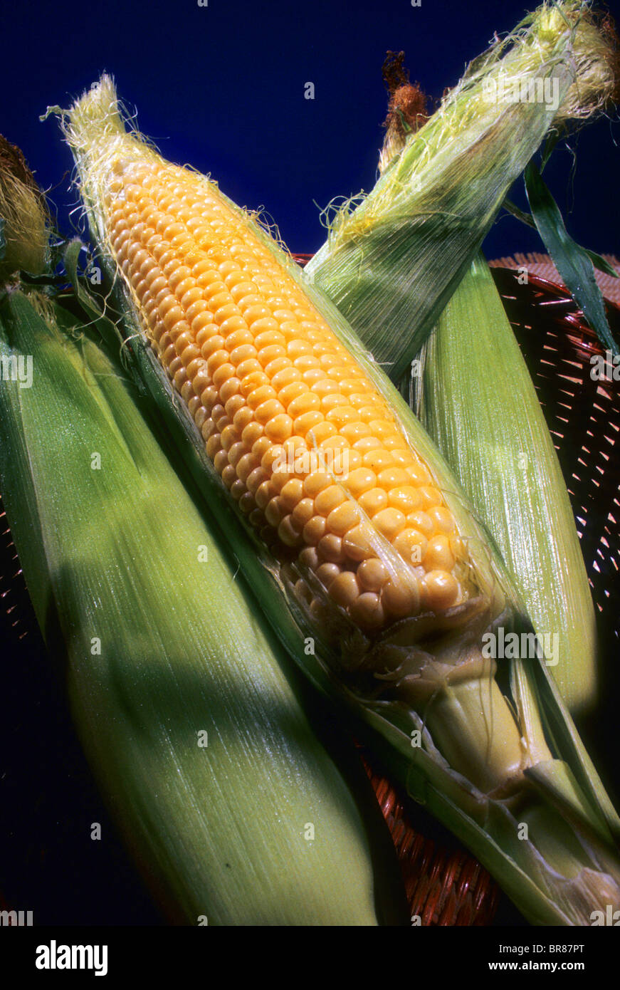 cob corn husk shuck clean leaf expose kernel gold tasty cook food taste