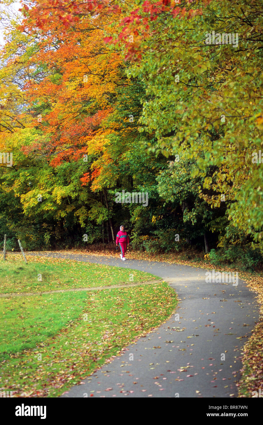 walk jog autumn color leaf leaves foliage fall New England Vermont