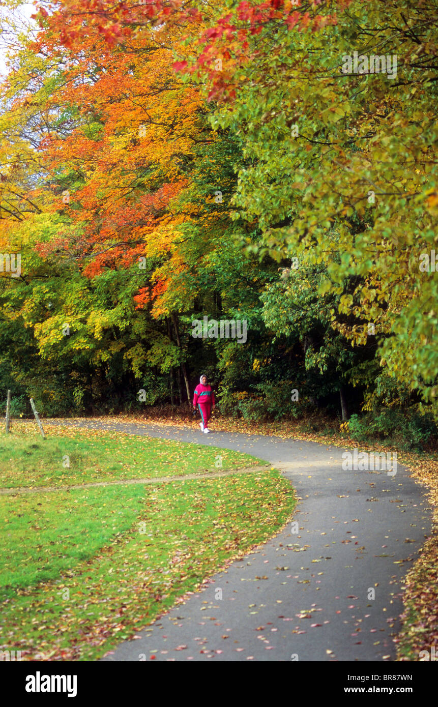walk jog autumn color leaf leaves foliage fall New England Vermont health cool nature science Stock Photo